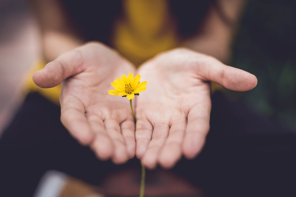 The Talent Community: A Beacon of Inclusivity and Support in the Talent Acquisition Space